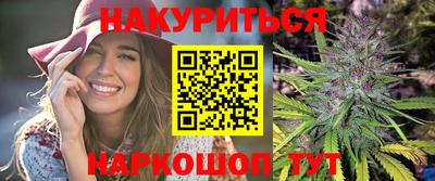 Альфа ПВП Бердск